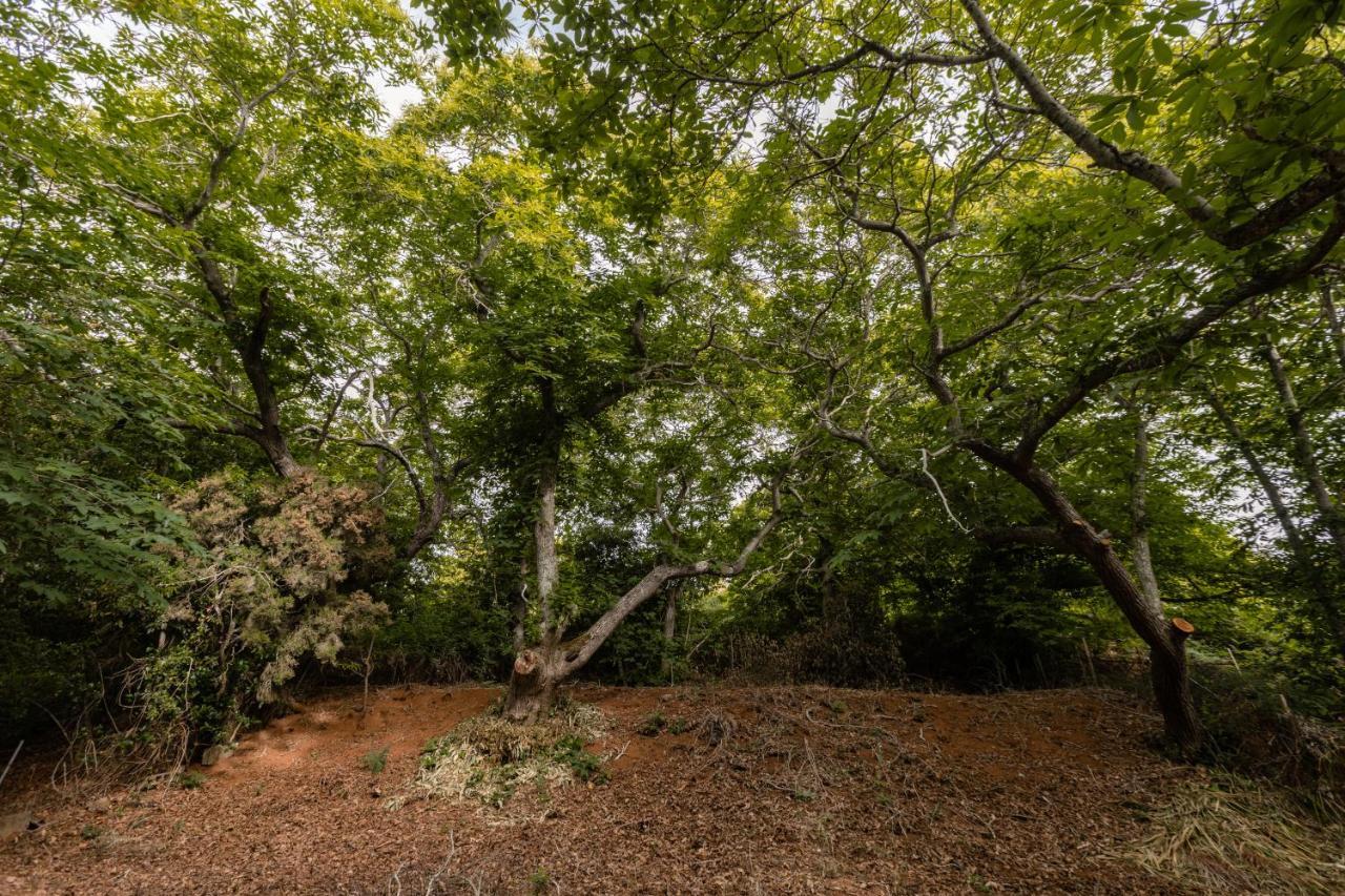 Maison Mialon: Country House Amidst Of Nature La Esperanza  Luaran gambar